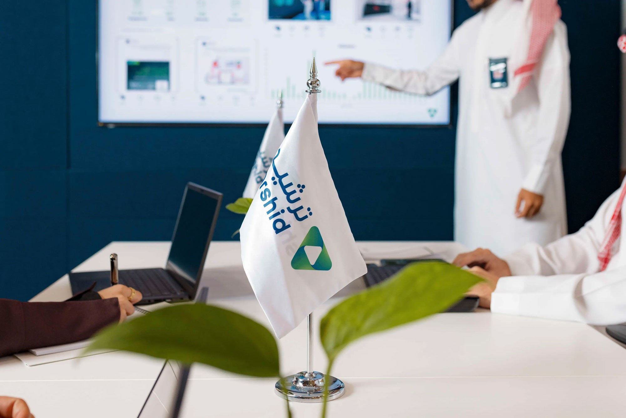 الشركة الوطنية لخدمات كفاءة الطاقة (ترشيد)