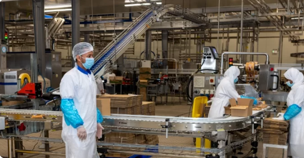 شركة سدافكو