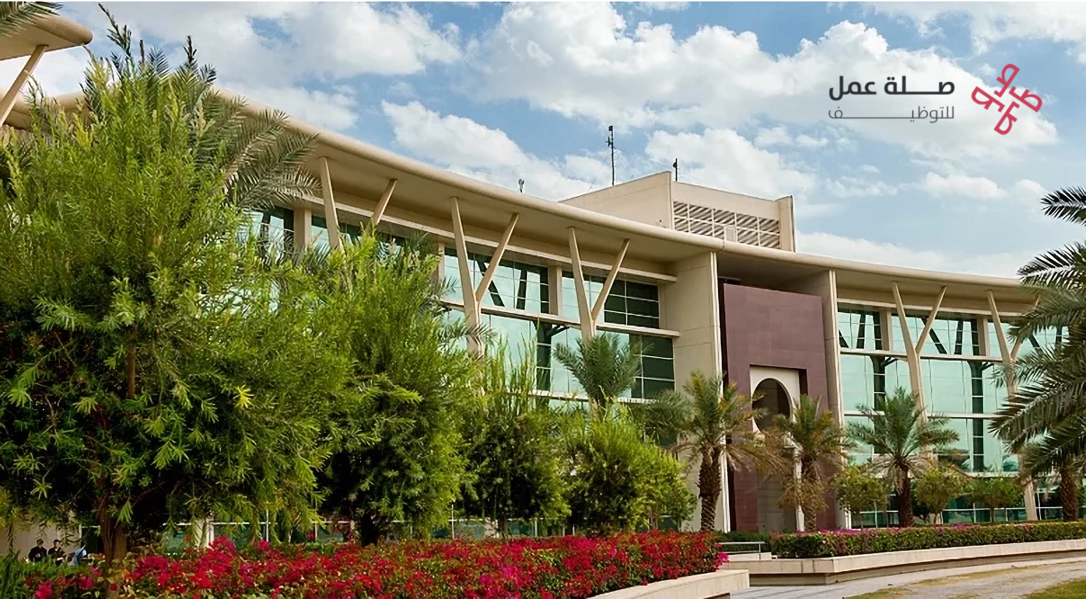 وظائف جامعة الفيصل