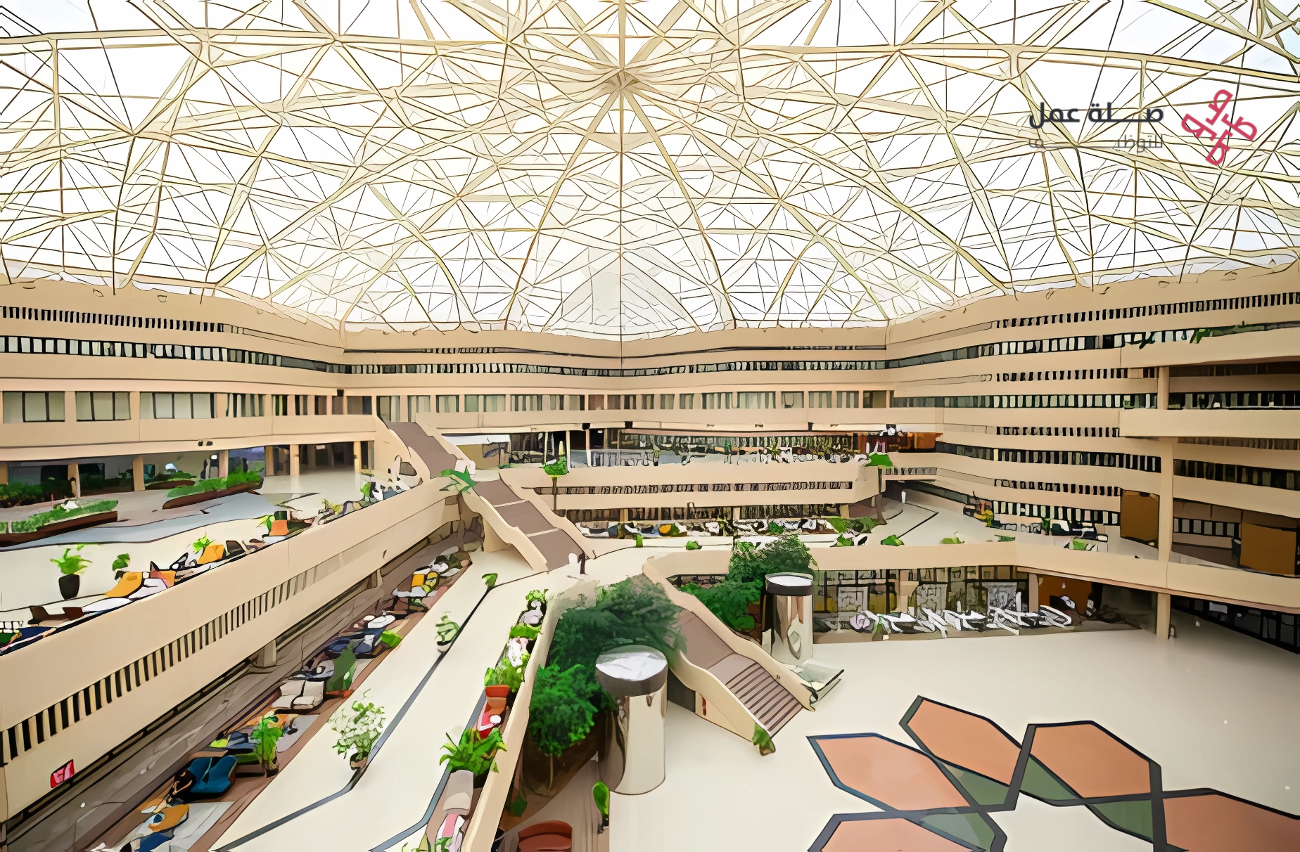 وظائف جامعة القصيم