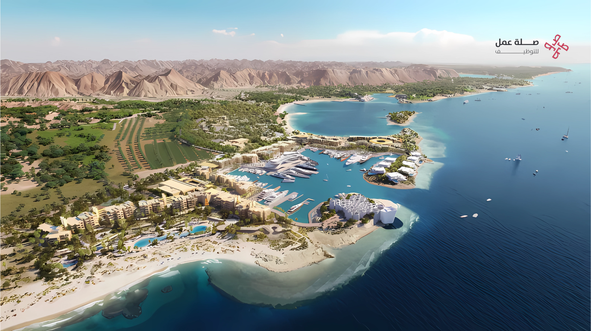 شركة البحر الأحمر