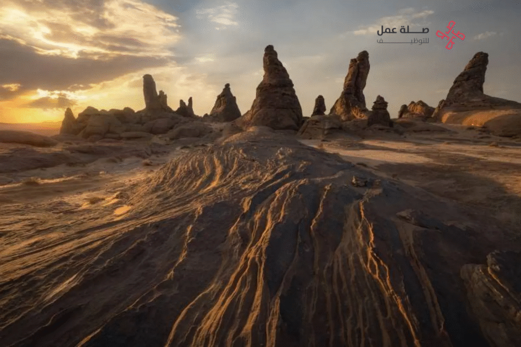 هيئة تطوير محمية الملك سلمان