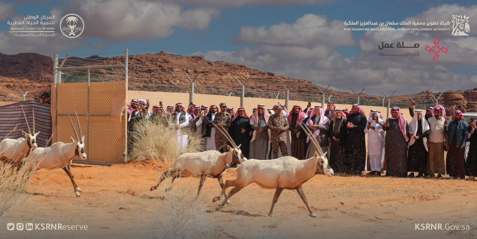 هيئة تطوير محمية الملك سلمان