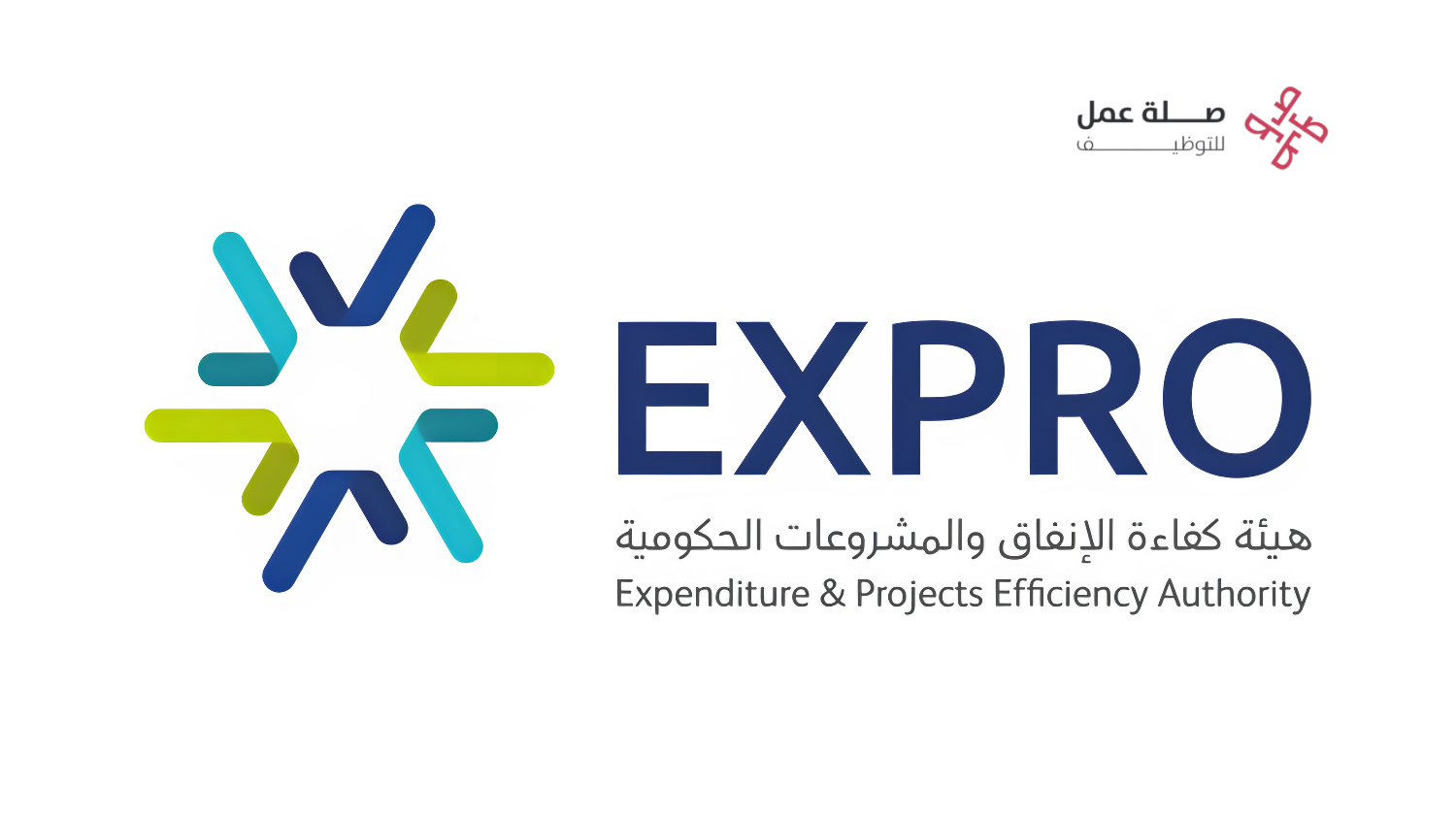 هيئة كفاءة الإنفاق والمشروعات الحكومية